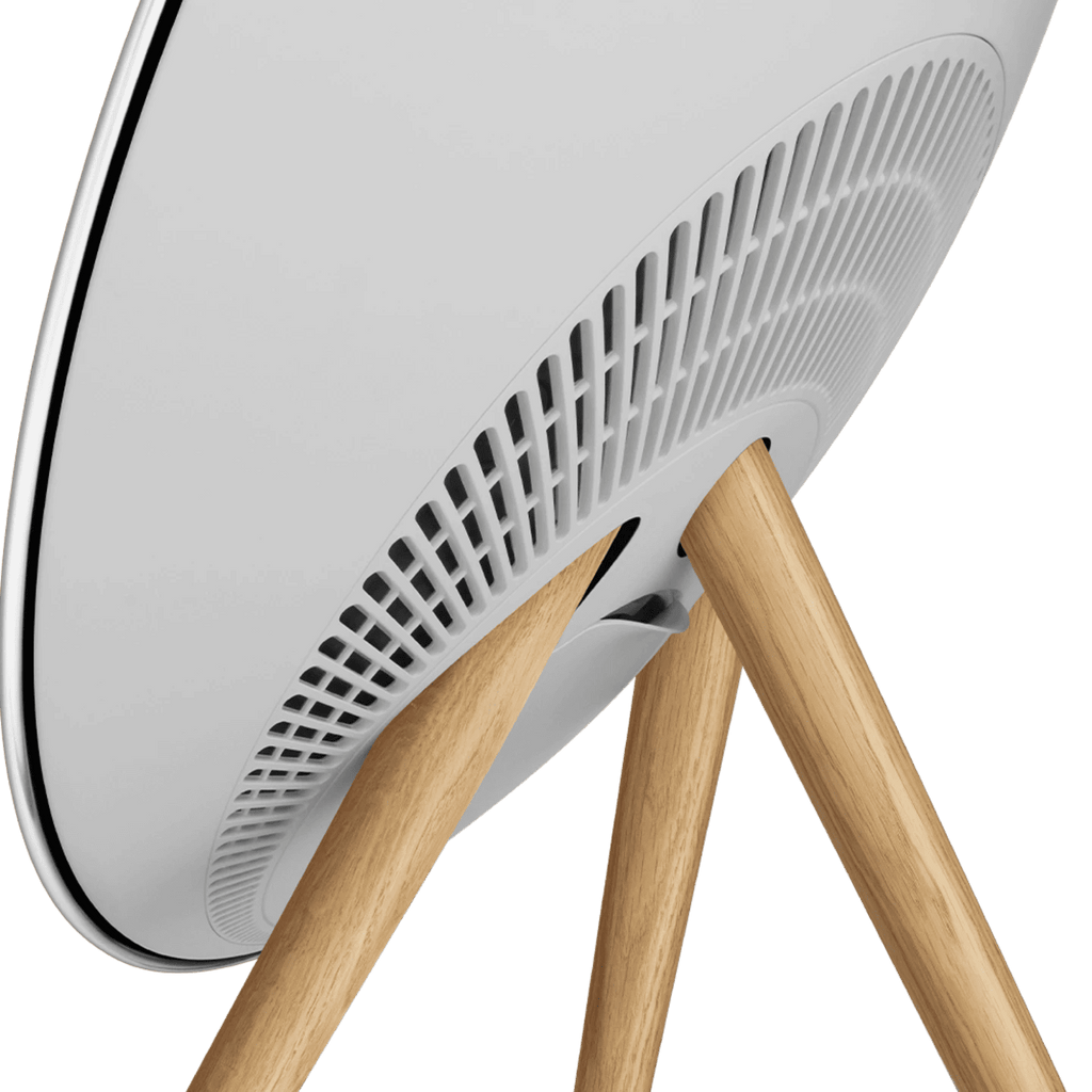 Bang & Olufsen Beosound A9 (5th Generation) Natural Aluminium