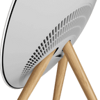 Bang & Olufsen Beosound A9 (5th Generation) Natural Aluminium