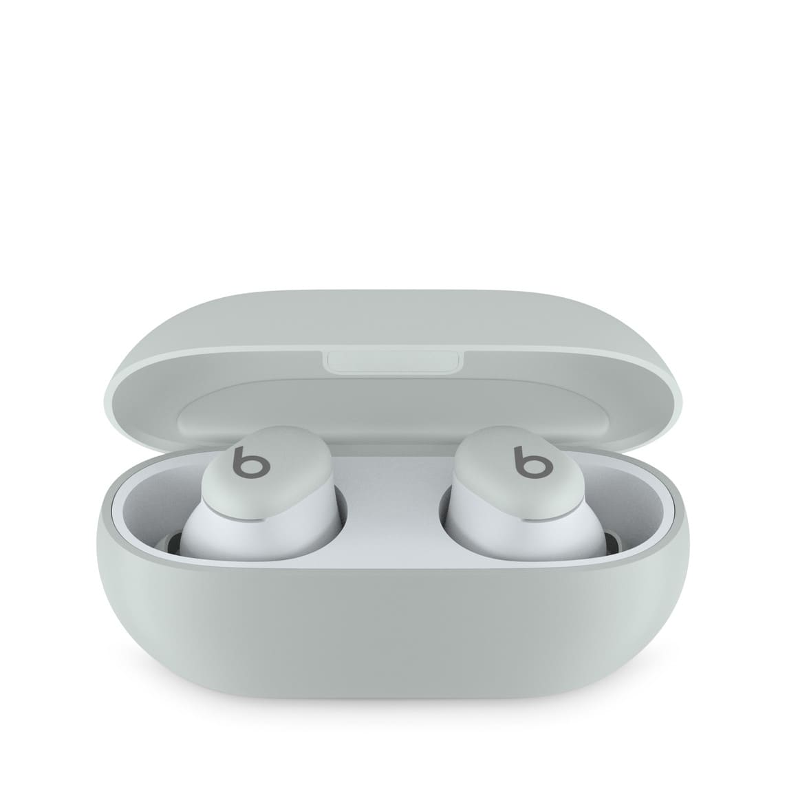 Beats Solo Buds Storm