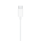 EarPods