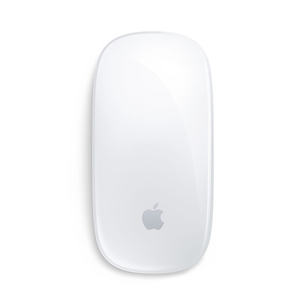 Magic Mouse Multi-Touch Surface