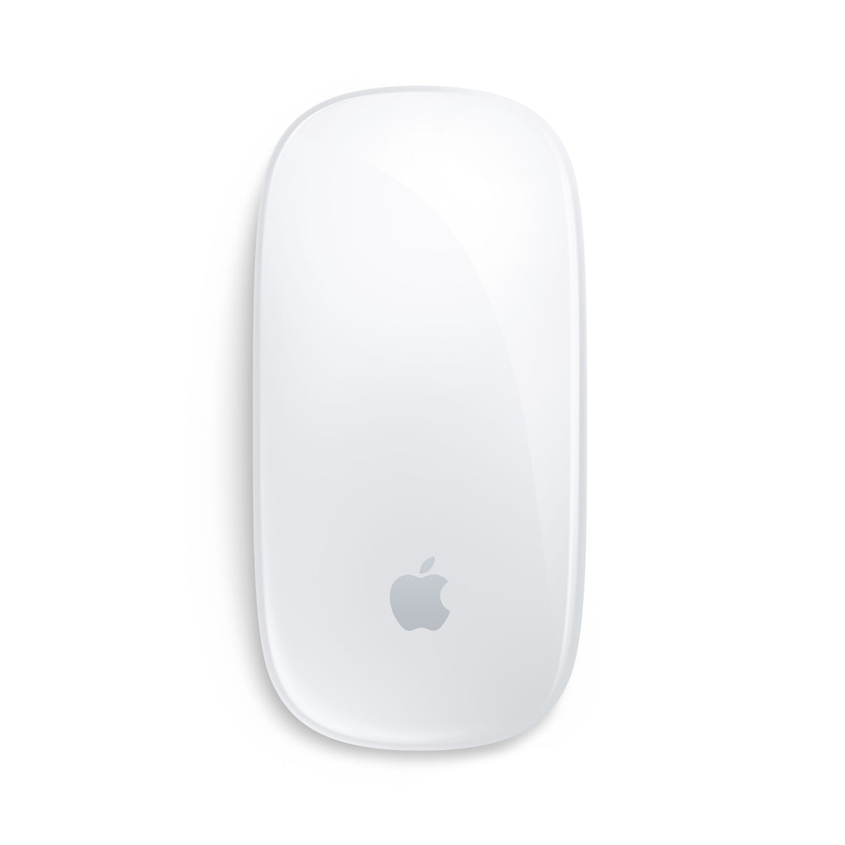 Magic Mouse Multi-Touch Surface