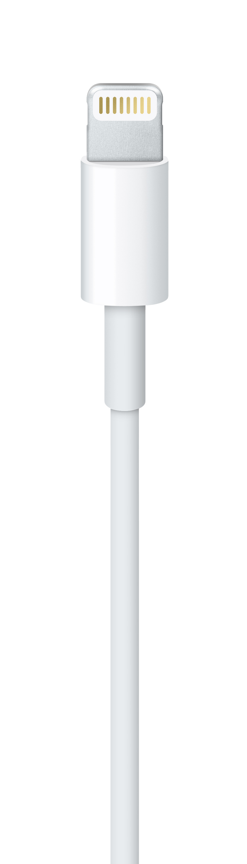Lightning to USB Cable )