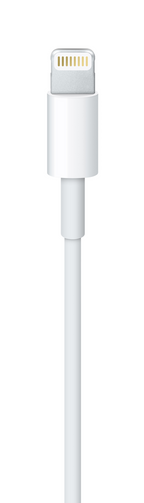 Lightning to USB Cable )