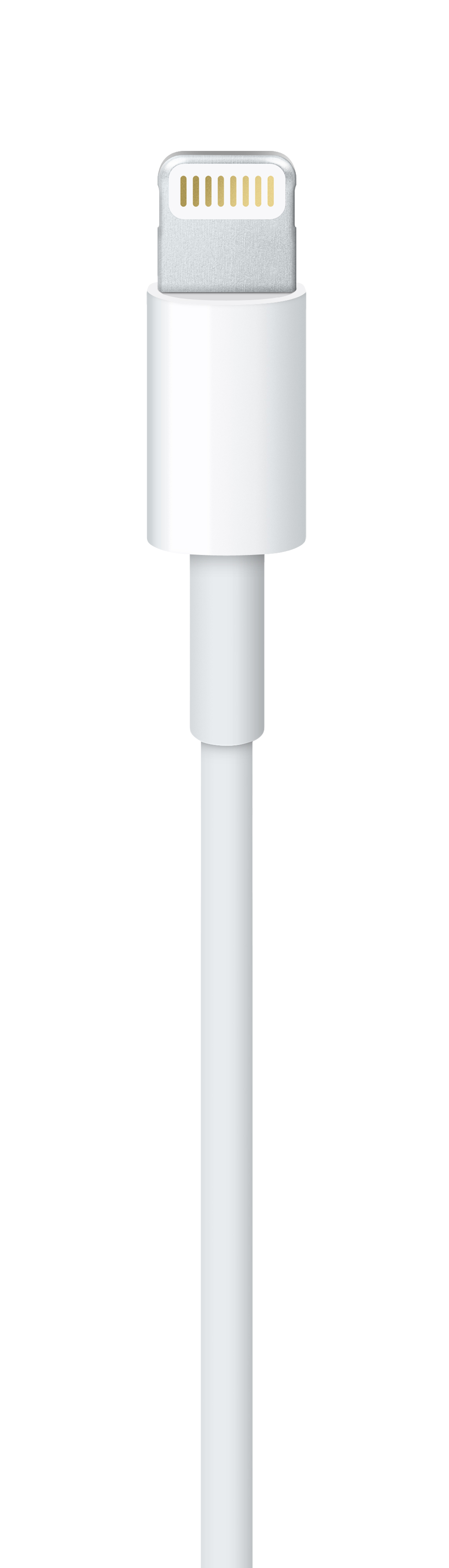 Lightning to USB Cable )
