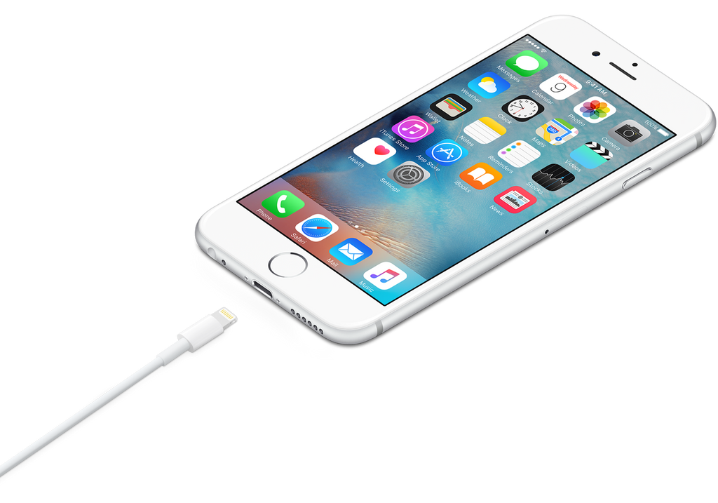 Lightning to USB Cable )