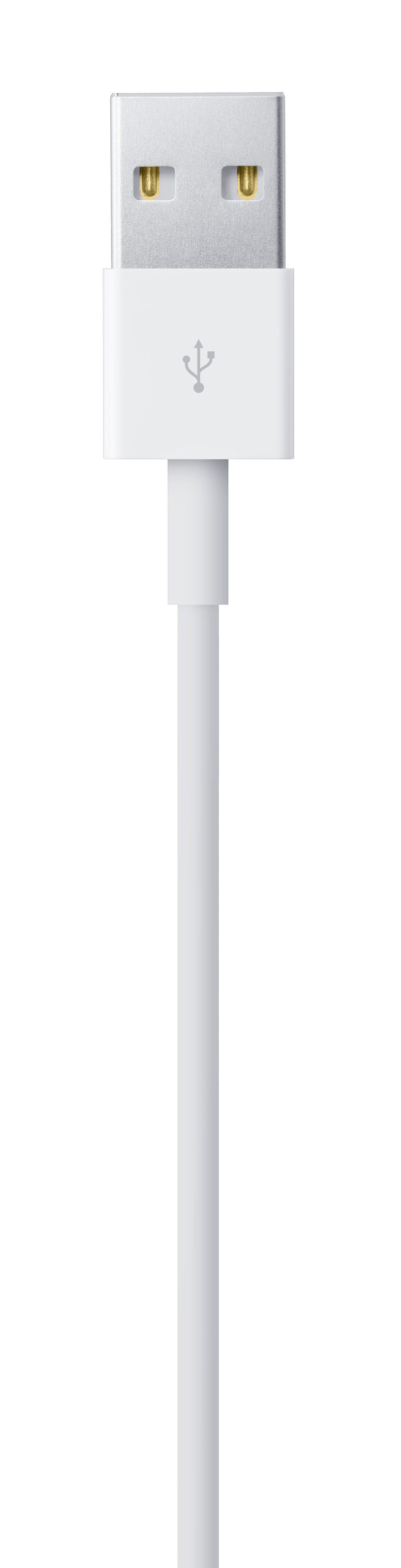 Lightning to USB Cable )