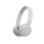 Sony WH-CH520 Wireless Headphones